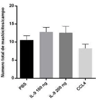 Figura 6.: Análise histológica no número de mastócitos no tecido renal. . Os camundongos C57BL/6 foram tratados  com  100uL    de  IL-9  a  100ng  (subgrupo  1)  e  200ng  (subgrupo  2)  e  com  160  uL  PBS    (controle  negativo)  e  CCL 4