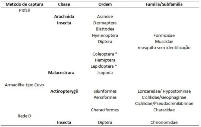 Tabela 2. Presas em potencial da área 1 com o tipo de armadilha e/ou equipamento  utilizado na captura (*larva e adulto)