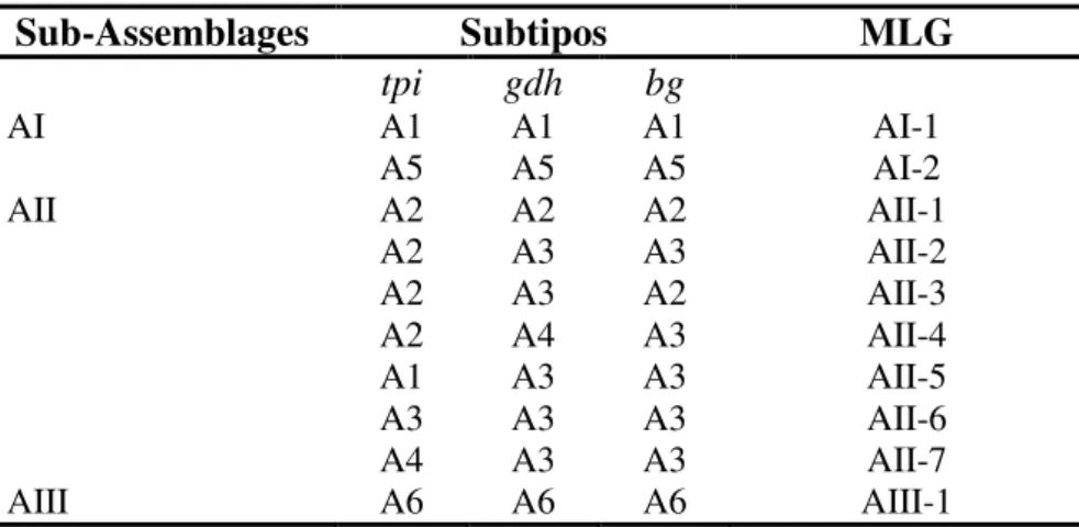 Tabela  2.  Sub-Assemblages,  genótipagem  multilocus  (MLG)  e  subtipos  da  Assemblage  A  de  Giardia  duodenalis  classificados  por Cacciò et al