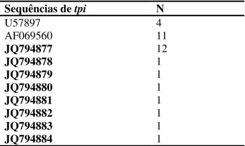Tabela  8.  Análise  das  sequências  de  amostras  amplificadas pela nested PCR utilizando o gene tpi  
