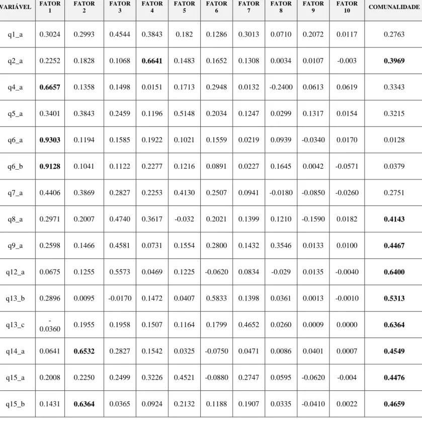 Tabela 10 - Cargas Fatoriais rotacionadas e comunalidades – VARIMAX – Categoria de Análise III 