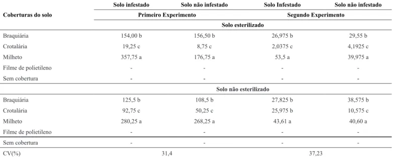 Tabela 1. Massa da matéria seca de palhada (gramas vaso -1 ) por ocasião do plantio do feijão-caupi no primeiro e segundo experimento, para as  diferentes coberturas em solos com e sem esterilização e infestados com Macrophomina phaseolina e não infestados