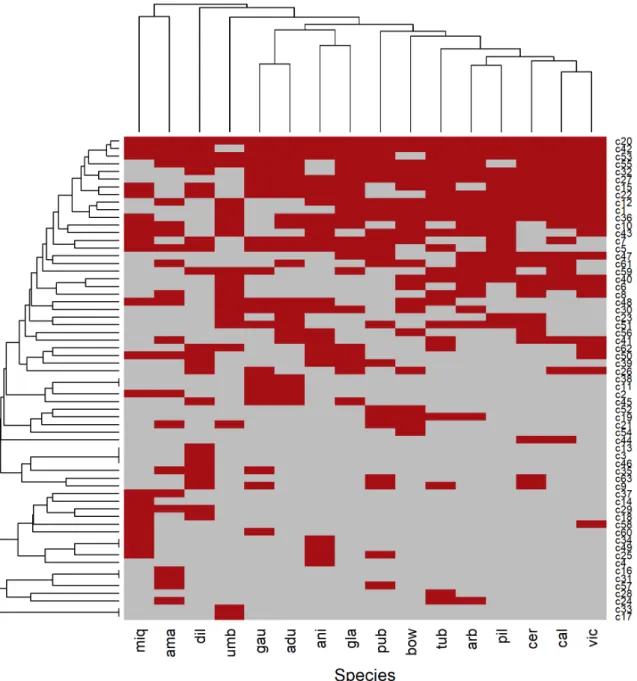 Figure 2.  Heat map of the 63 morphological character states by species: grouping of 16 species analyzed from genus Piper (vertical  grouping); grouping of 63 morphological states (horizontal grouping)