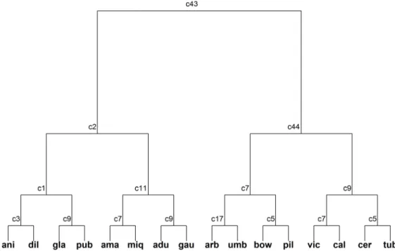 Figure 3.  Multivariate regression tree based on morphological characters of 16 species of Piper studied