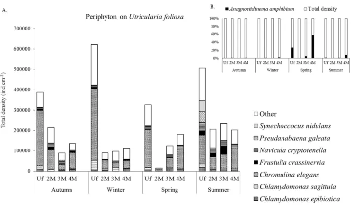 Table 2.  Pearson correlation of periphytic algae density on  Utricularia foliosa with RDA axes 1 and 2, and their respective codes.