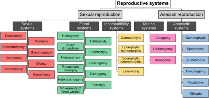 Figure 1.  General framework of the different terminologies related to the reproductive system of angiosperms.