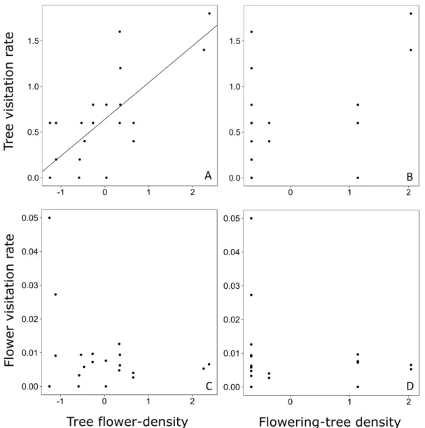 Figure 2.  Relationship between tree visitation rate and tree flower-density (A) and flowering-tree density (B)