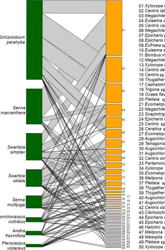 Figure 5.  Melittophilous legume trees and their bee visitors’ quantitative network in the Atlantic Forest in Southeast Brazil