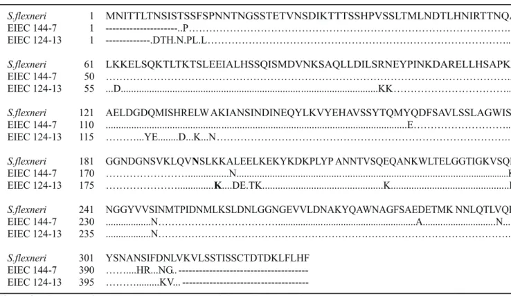 Figure 3. Alignment of ipaD amino acid sequences of the S. flexneri, S. dysenteriae, and EIEC samples FBC144-7 (O144:NM) (without polymorphism) and FBC124-13 (O124:NM) (with polymorphism)
