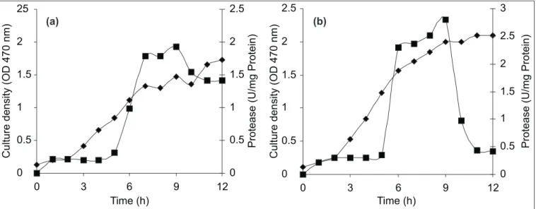 Table 1. Growth and protease activity by Bacillus sp SMIA-2 using different carbon sources