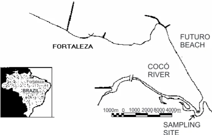 Figure 1. Map of the study area, indicating the oyster (Crassostrea rhizophorae) sampling site at Cocó river’s estuary, Ceará State, Brazil.