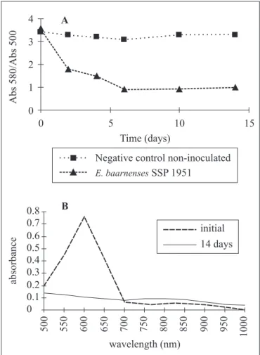 Figure 3. Parcial degradation of Remazol brilliant blue R (RBBR) by Eupenicillium baarnense SSP1951,  after 14 days of culture in malt extract at 28 ± 2ºC under shaking