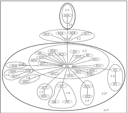 Figure 2 - Most parsimonious network of 38 mtDNA haplotypes detected in the sample of 125 individuals of C