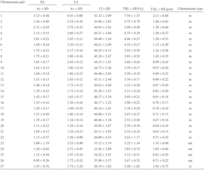 Table 1 - Values of karyotype parameters in T. areolatus (2n = 54) (n = 9 chromosome metaphase plates): average relative length in percentage of short arm (SA) and long arm (LA) of each chromosome pair are shown; total relative length (TRL) and total absol