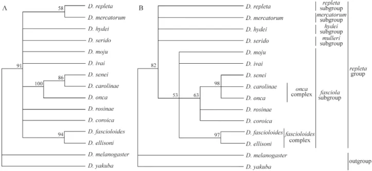 Figure 2 - Plot of the number of transitions (S) and transversions (V) vs.