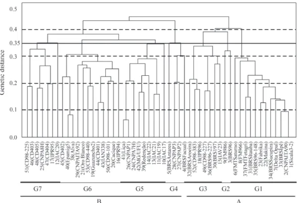 Figure 2 - UPGMA dendrogram constructed based on dissimilarities measures of 53 cotton cultivars