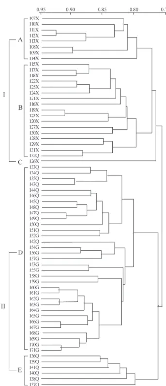 Figure 1 - Unweighted pair group method with averages (UPGMA) ge- ge-netic similarity dendrogram of 65 cultivated six-rowed naked barley  land-races from the Qinghai-Tibet plateau of China