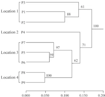 Figure 2 - Dendrogram showing the relationships between nine Rhodiola crenulata populations