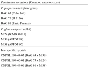 Table 1 - The Pennisetum progenitors and hybrids evaluated.