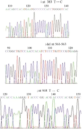 Figure 2 - Sequence analysis of a portion of exons 10, and 11 showing the mutations at nt 1178 G ® A and nt 1360 C ® T.