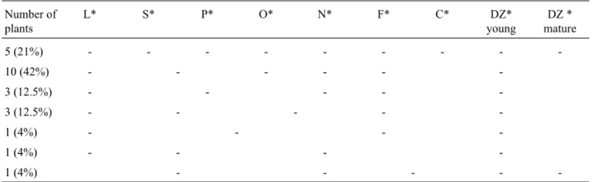 Table 1 - GUS expression of SHP2 enhancer-GUS plants (pARC751).
