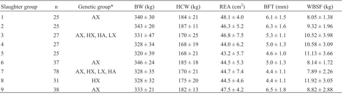 Table 1 - Slaughter groups, showing number of steers (n), final body weight (BW), hot carcass weight (HCW), rib eye area (REA), backfat thickness (BFT) and Warner-Bratzler Shear Force (WBSF) for each genetic group (AX, HX, HA, LX)