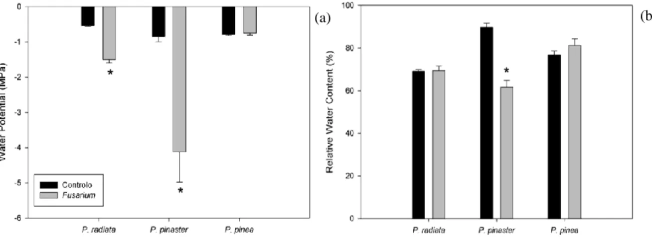 Figure 9 -  Water potential (ψ) (a) and Relative Water Content (RWC) (b) in P. radiata, P
