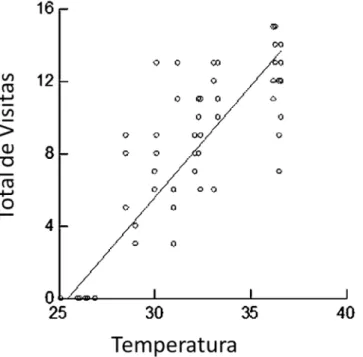 Figura 3.8  –  Relação positiva entre a variação da temperatura e o aumento de visitantes de Struthanthus  polyanthus (Loranthaceae) (r = 0,891; gl = 70; p &lt; 0,01)