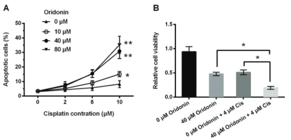 Figure 3. Oridonin synergized the effect of cisplatin in SNU-216 cells. SNU-216 cells were treated with oridonin combining with or without cisplatin for 24 h