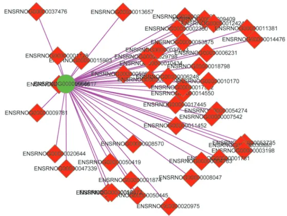 Table 6. Gene Ontology (GO) terms of rno-Cntnap2 long non-coding RNA gene.