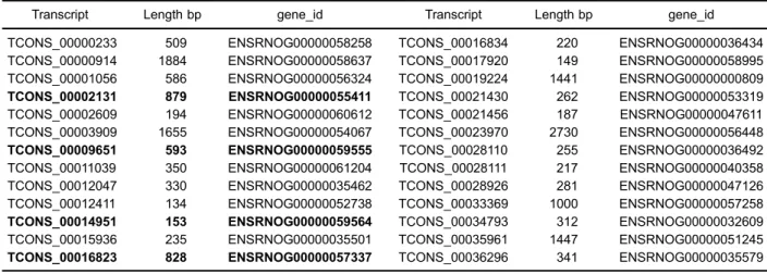 Figure 3. Co-expression network of novel long non-coding RNA (lncRNAs) with target mRNAs