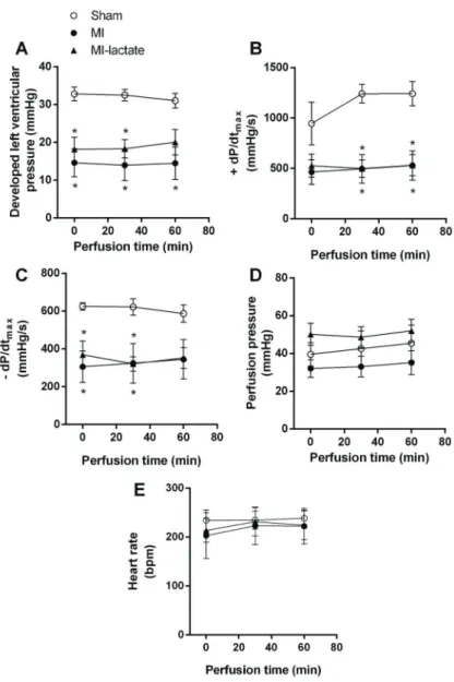 Figure 1. A, Left ventricular developed pressure, B, maximum positive ( + dP/dt max and C,  nega-tive (-dP/dt max ), D, perfusion pressure, and E, heart rate after 60 min of perfusion with  Krebs-Henseleit or KH plus lactate