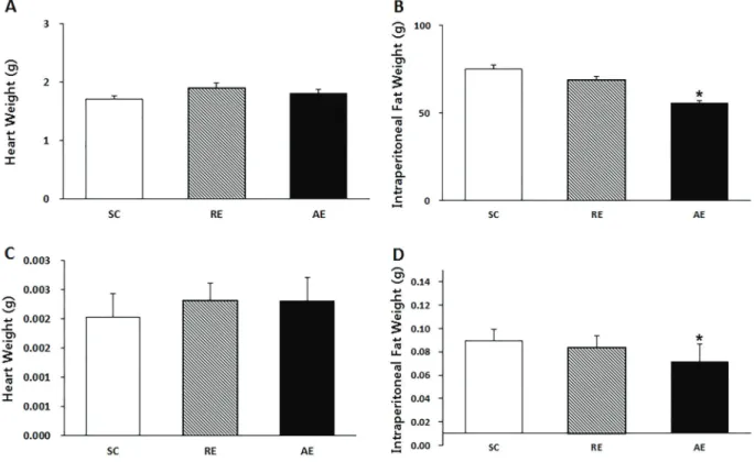 Figure 2. Comparison of heart weight (A), intraperitoneal fat weight (B), heart weight per 1 kg of body weight (C), and intraperitoneal fat weight per kg of body weight (D) after 12 weeks of aerobic exercise (AE) and resistance exercise (RE)