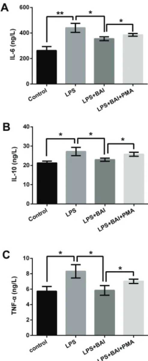 Figure 5. A, PMA alleviated the effects of BAI on LPS-induced IL-6 expression; B, IL-10 expression; and C, TNF-a expression in RPTECs