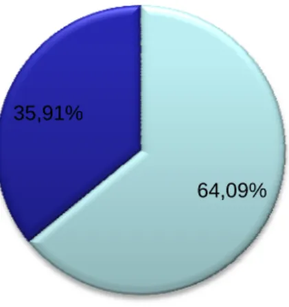Gráfico 1 – Divisão mercado Público/Privado 64,09%