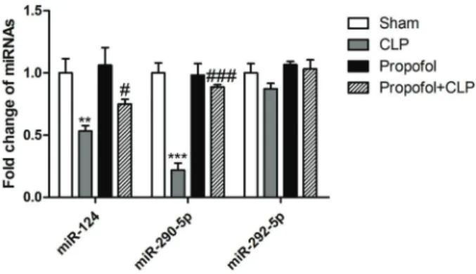 Figure 5. CCL-2 is a direct target gene of miR-290-5p. Schematic representation of the putative miR-290-5p binding site in the 3 0 -untranslated regions (3 0 UTR) of CCL-2 was predicted by the online database (A)