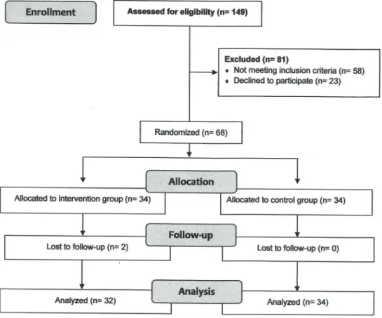 Figure 1 shows the study ﬂow diagram. Initially, 149 patients were interviewed. Of these, 81 patients did not meet the inclusion criteria or refused to participate, and after randomization, two patients dropped out of the intervention program