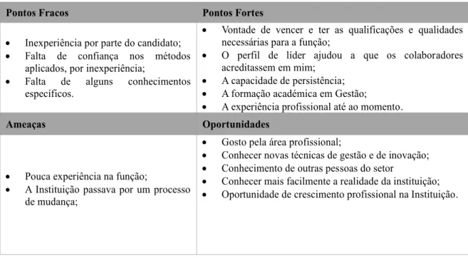 Tabela 6 - Análise SWOT do período 2002-2009 