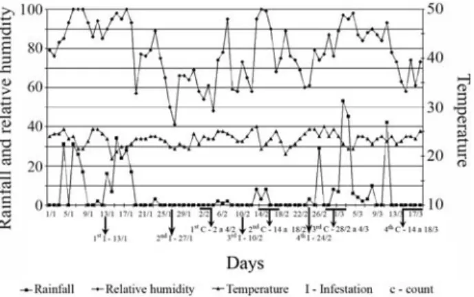 Figure 2 - Relative humidity, temperature and rainfall for January to March 2005.