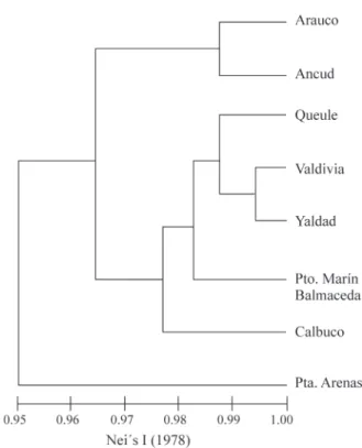 Figure 2 - A phenetic dendrogram showing the relationship of eight popu- popu-lations of the chilean blue mussel (Mytilus chilensis), based on seven  poly-morphic loci.