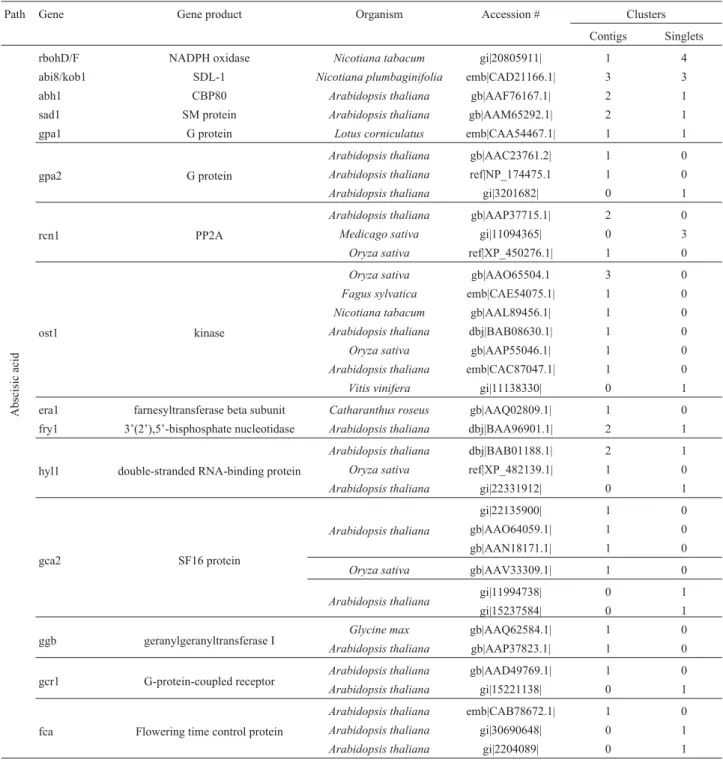 Table 4 - Ortholog genes of Abscisic acid signaling pathways found in the Citrus EST database.