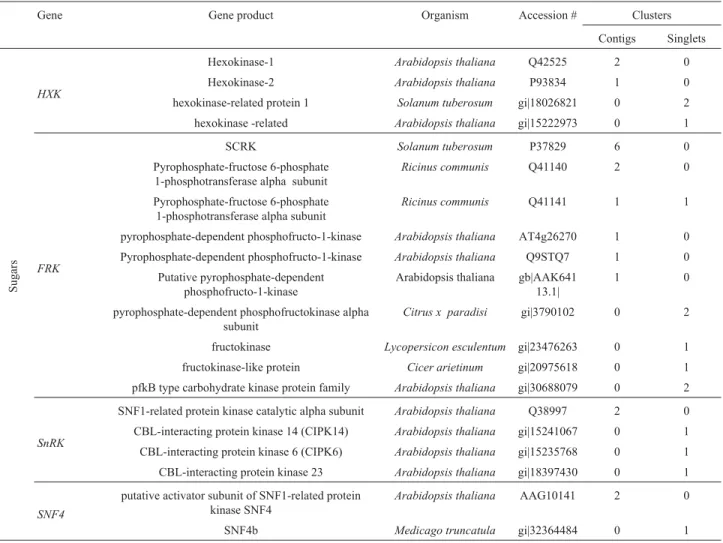 Table 5 - Ortholog genes of sugar signaling pathways found in the Citrus EST database.