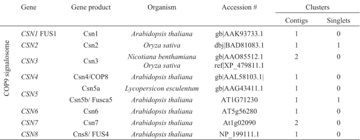 Table 7 - Ortholog genes of COP9 signalosome pathways found in the Citrus EST database.