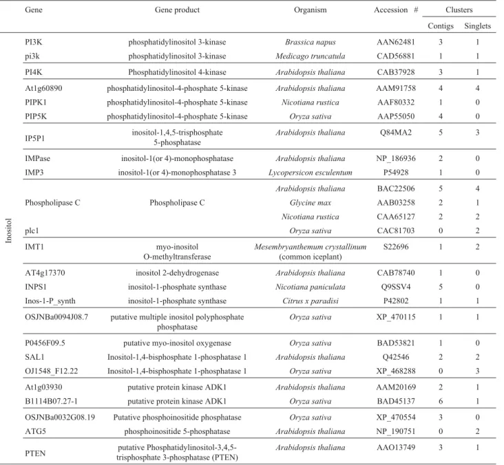 Table 9 - Ortholog genes of Inositol phosphate pathways found in the Citrus EST database.