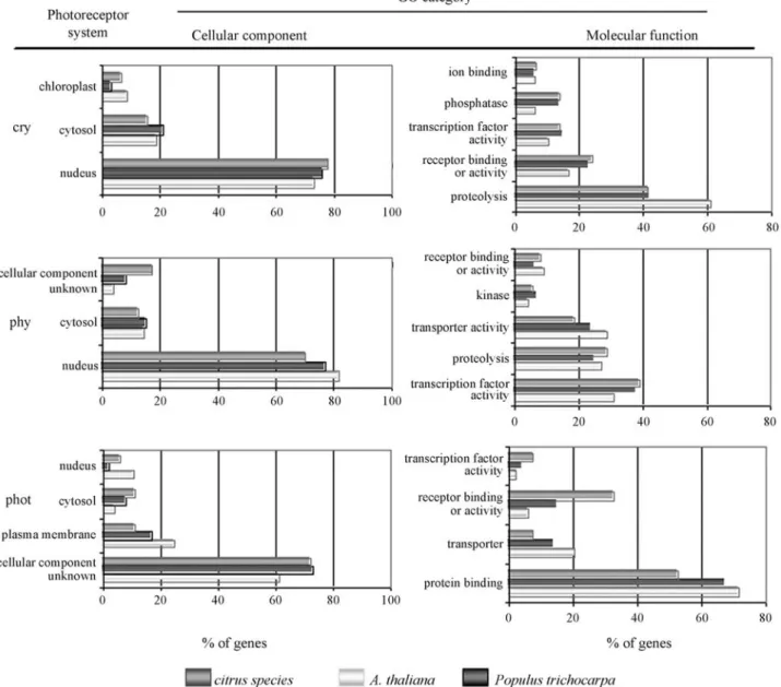 Figure 1 - Functional classification of citrus transcripts associated to photoperception and light signal transduction based on gene ontology (GO) catego- catego-ries in comparison to Populus trichocarpa transcriptome and Arabidopsis thaliana proteome