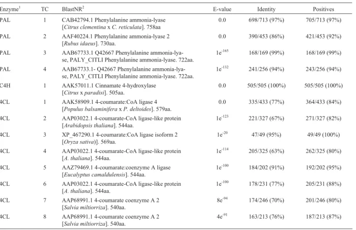 Table 1 - A flavonoid overview in Citrus sinensis: CitEST tentative consensi (TCs) identities and comparative parameters against international databases (Blast NR).