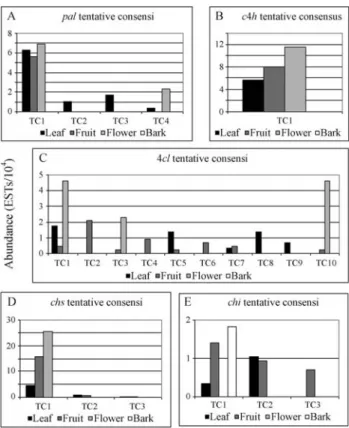 Figure 1 - Transformed data representing the relative abundance of EST reads by tissue expressed in 10 4 reads: (A) Phenylalanine ammonia-lyase (PAL), (B) Cinnamate 4-hydroxylase (C4H), (C) 4-Coumarate CoA ligase (4CL), (D) Chalcone synthase (CHS) and (E) 