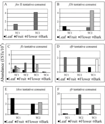 Figure 2 - Transformed data representing the relative abundance of EST reads by tissue expressed in 10 4 reads: (A) Flavone synthase II (FNS II), (B) Flavone 3-hydroxylase (F3H), (C) Flavonol synthase (FLS), (D) Dihydroflavonol 4-reductase (DFR), (E) Leuco