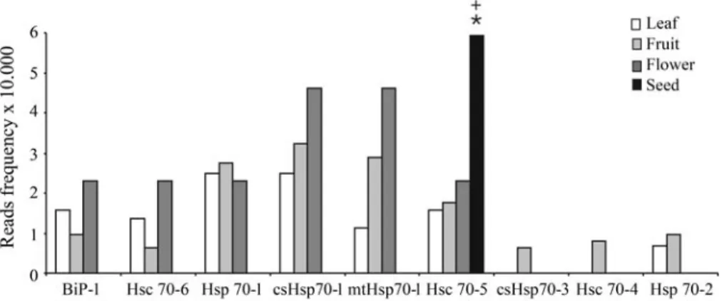 Figure 2 - Expression of the Citrus Hsp70 genes in the different tissues of Citrus. The expression pattern was calculated as indicated in the materials and methods and normalized according the library