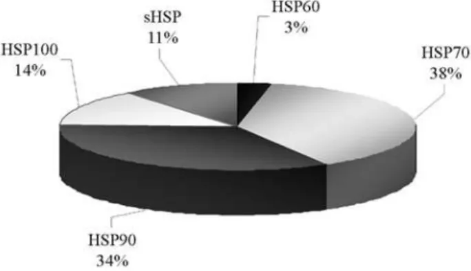 Figure 3 - Relative abundance of HSP families involved in water stress re- re-sponse in the citrus EST database.